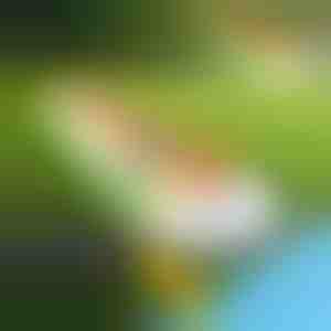 Naduvajući tobogan (465x80cm) | REEFLY