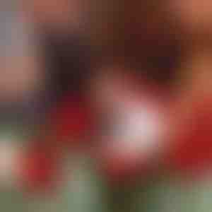 1 kutija za prstenje sa ružama od somota | ROSABOX