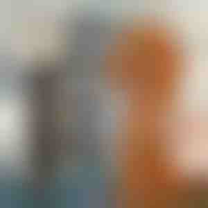 Set mašinica za šišanje kućnih ljubimaca | GULAMACHINE