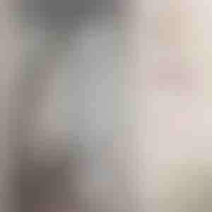 Magnetna mreža za vrata | INSECTPROTECT