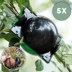 Kutija za razmnožavanje za zdrave korene (5 komada) | ROOTY