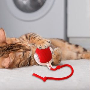 Igračka za kućne ljubimce koja se kreće na dodir | GATOPLAY