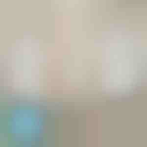 Držači čaršava koji se nikada ne klizaju (4 komada) | EVOHOLD