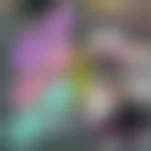 Trake za vežbanje (Set od 3) | FITSTRAPS