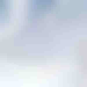 Magnetna zaštita vetrobranskog stakla od snega | FROSTCOVER